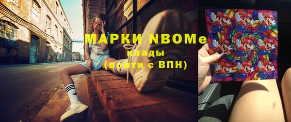 прущие грибы Костерёво