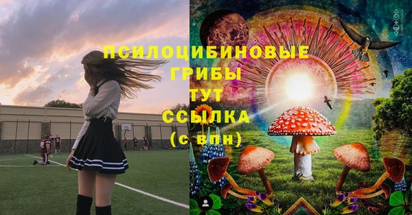 прущие грибы Костерёво